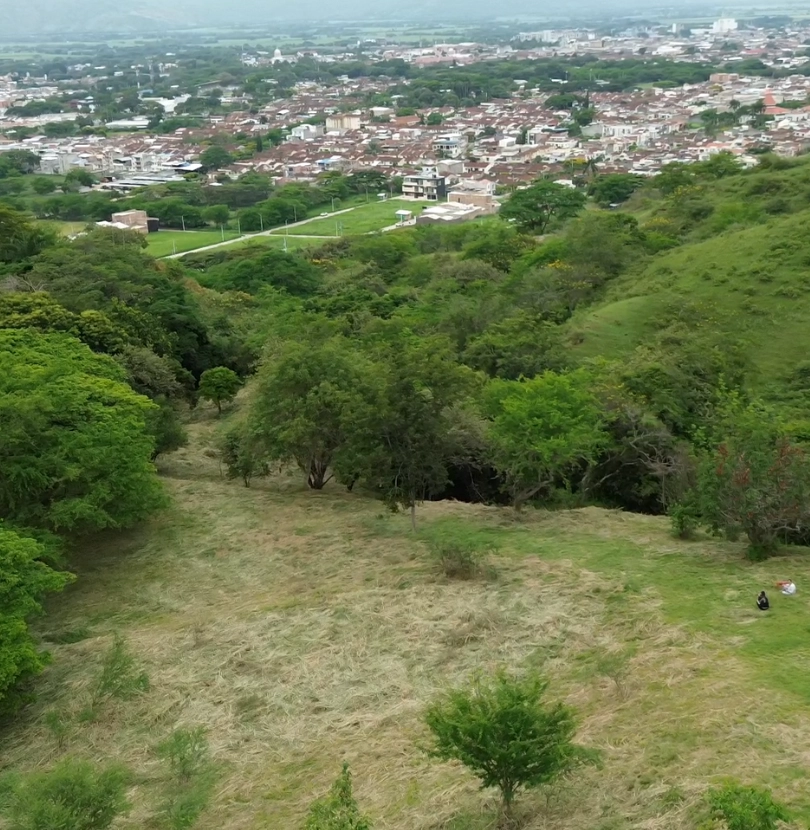 Colina Campestre