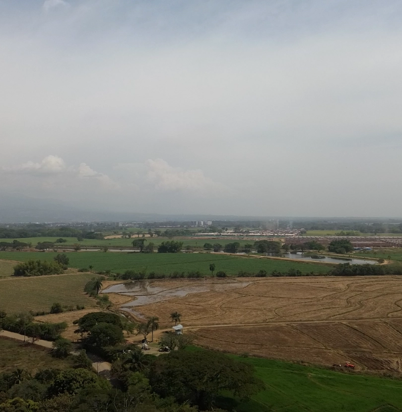 Bora, Jamundí - Constructora Sucol